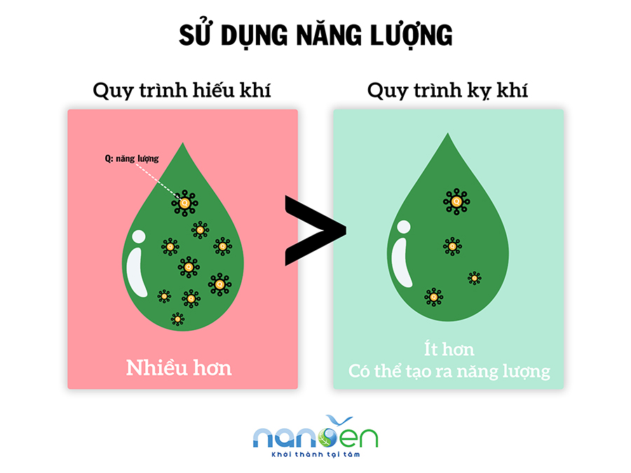 好氧与厌氧处理过程的不同之处