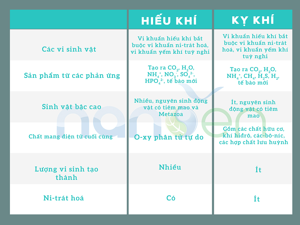 好氧与厌氧处理过程的不同之处