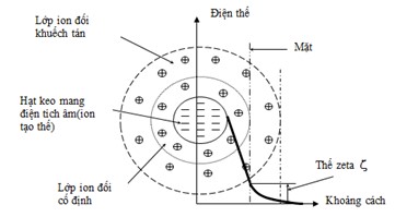 Mô hình sắp xếp điện tích của các hạt keo (Wang et al., 2005)