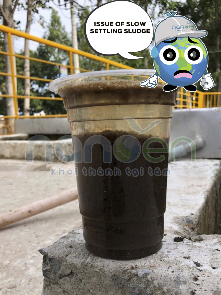 ISSUE OF SLOW SETTLING SLUDGE