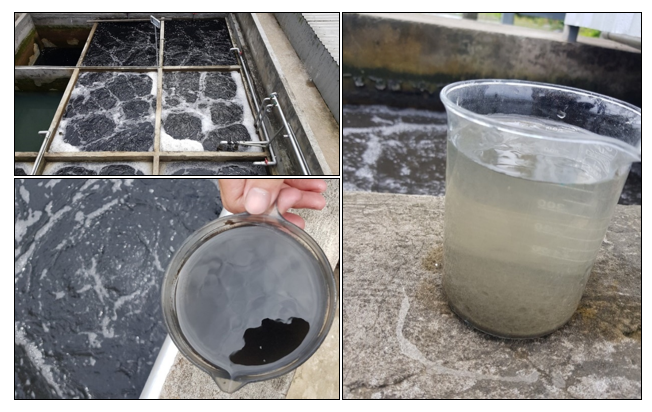 OXYGEN-LACKED ACTIVATED SLUDGE IS BLACK