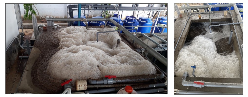 Bể bùn hoạt tính bị sự cố sốc tải