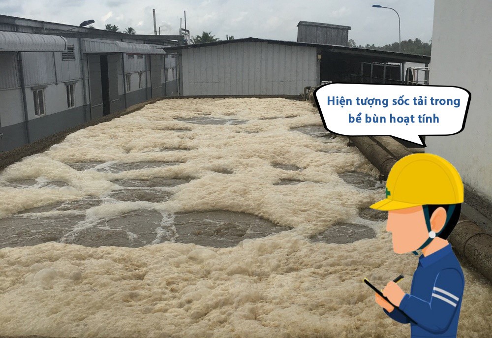 负荷冲击现象 - Nano 环境技术有限公司