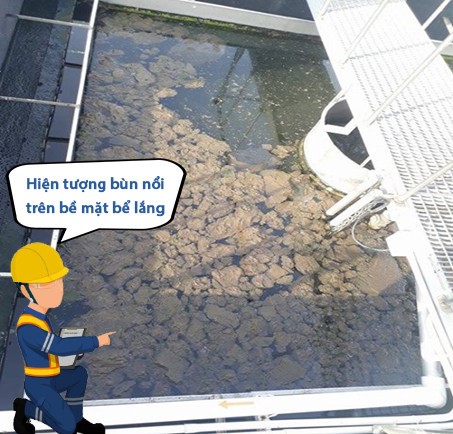 沉淀池中污泥浮起现象 - Nano 环境技术有限公司