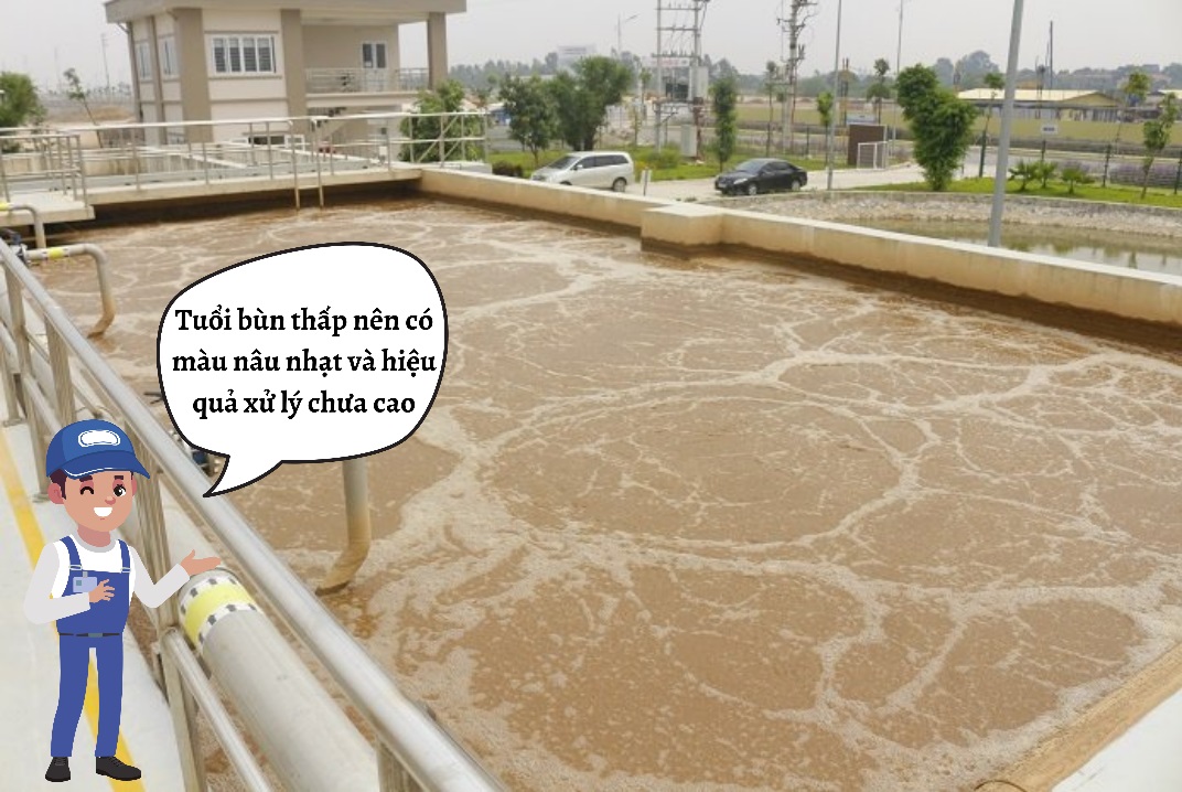 幼龄污泥现象 - Nano 环境技术有限公司