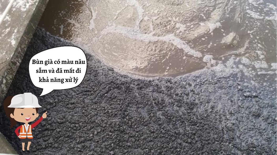 老龄污泥现象 - Nano 环境技术有限公司