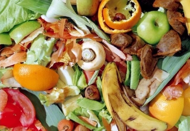 有机垃圾 - Nanoen