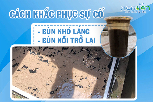 Bùn khó lắng và bùn nổi trở lại - Cách xử lý
