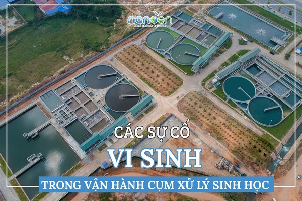 Các sự cố vi sinh trong vận hành cụm xử lý sinh học