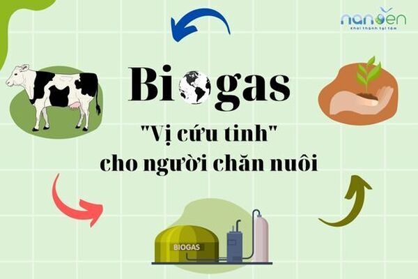 Biogas